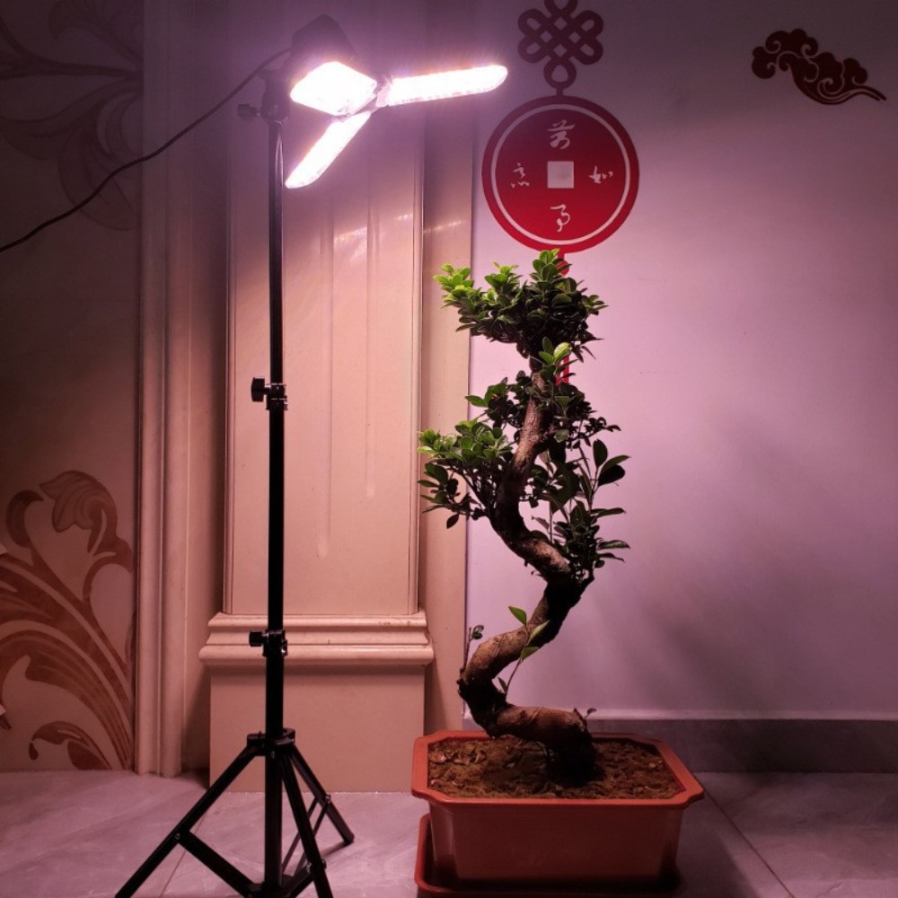 Light Bulb Stand 2M, E27 AC So – обзор и цена Photography Lighting Umbrella
