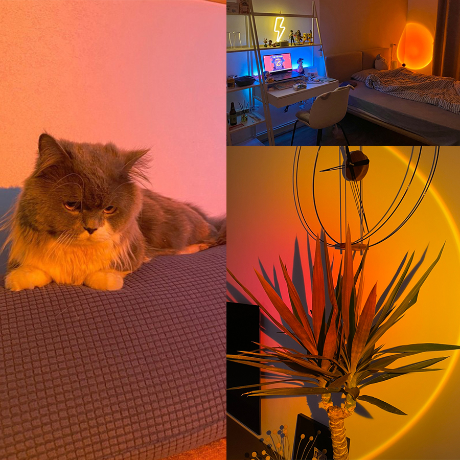 Smart Sunset Lamp Tuya LED Nig – обзор и цена Photography Lighting App